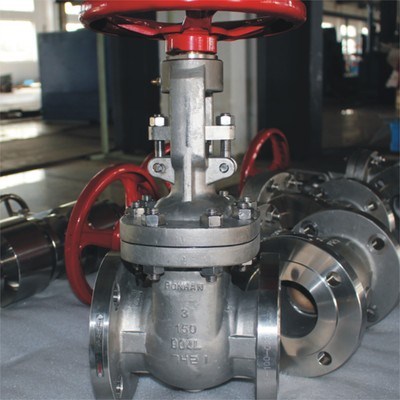 Stainless Steel Gate Valve